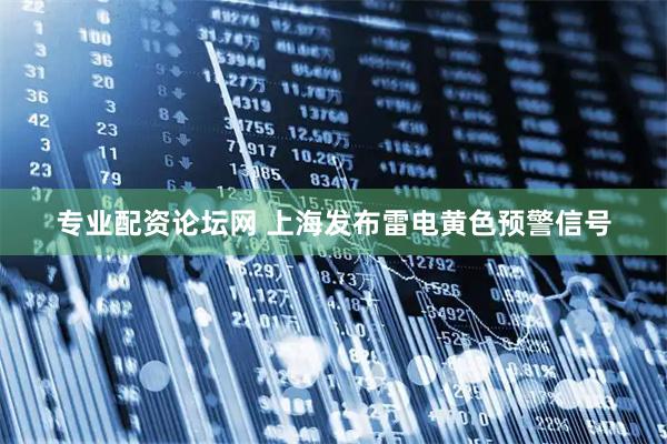 专业配资论坛网 上海发布雷电黄色预警信号